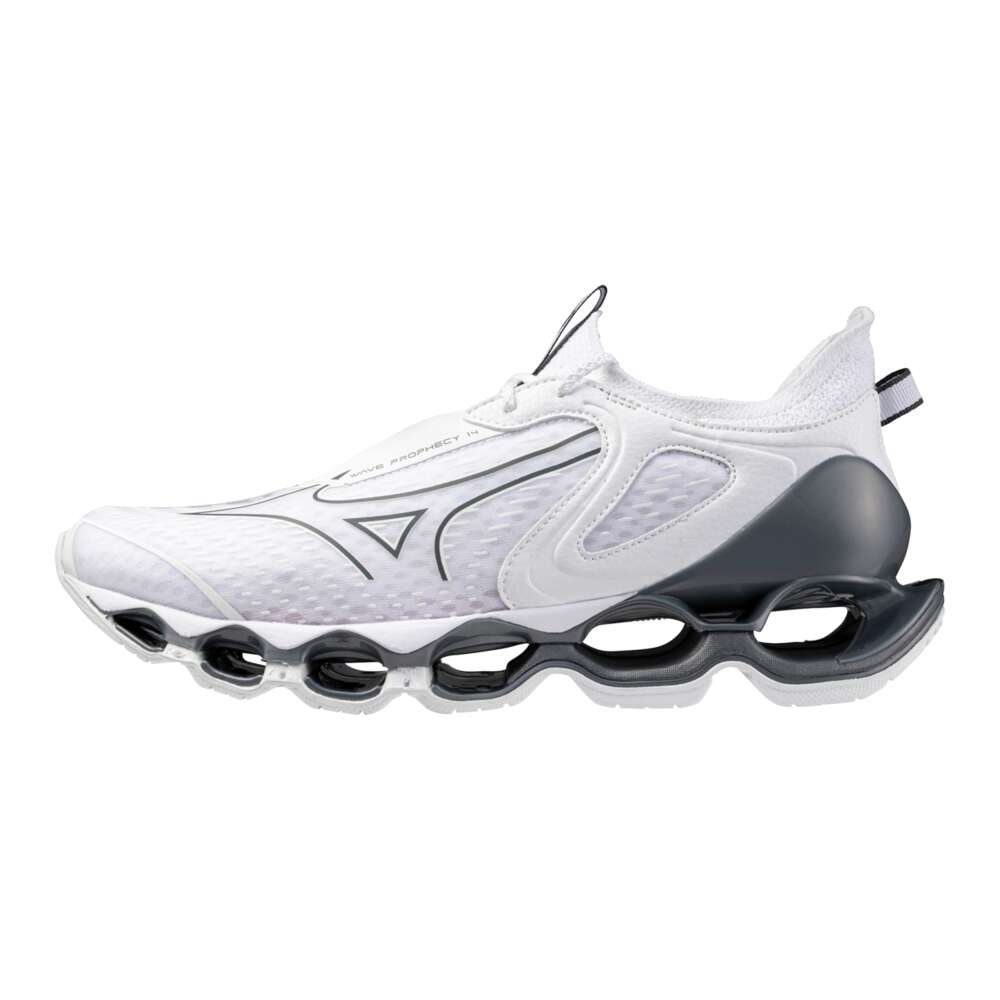 Tênis Masculino Mizuno Wave Prophecy 14